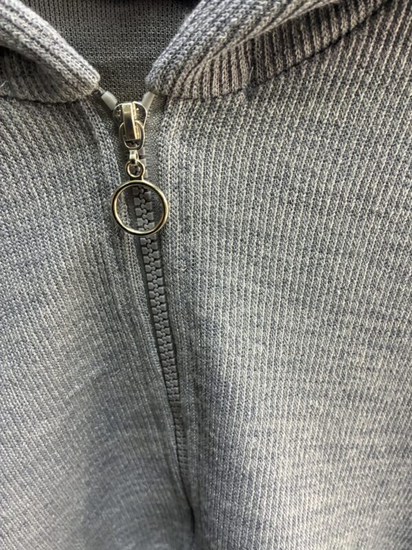 IMG_0837 Buzo Hoodie Cropped